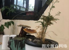http://ww3w.4000500521.com//upimg/seot/t20190701173553213.jpg